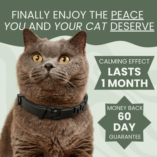 Calming Pheromone Collar