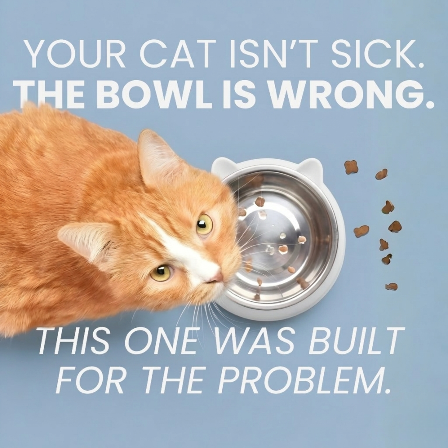 Glide™ Anti-Vomit Bowl