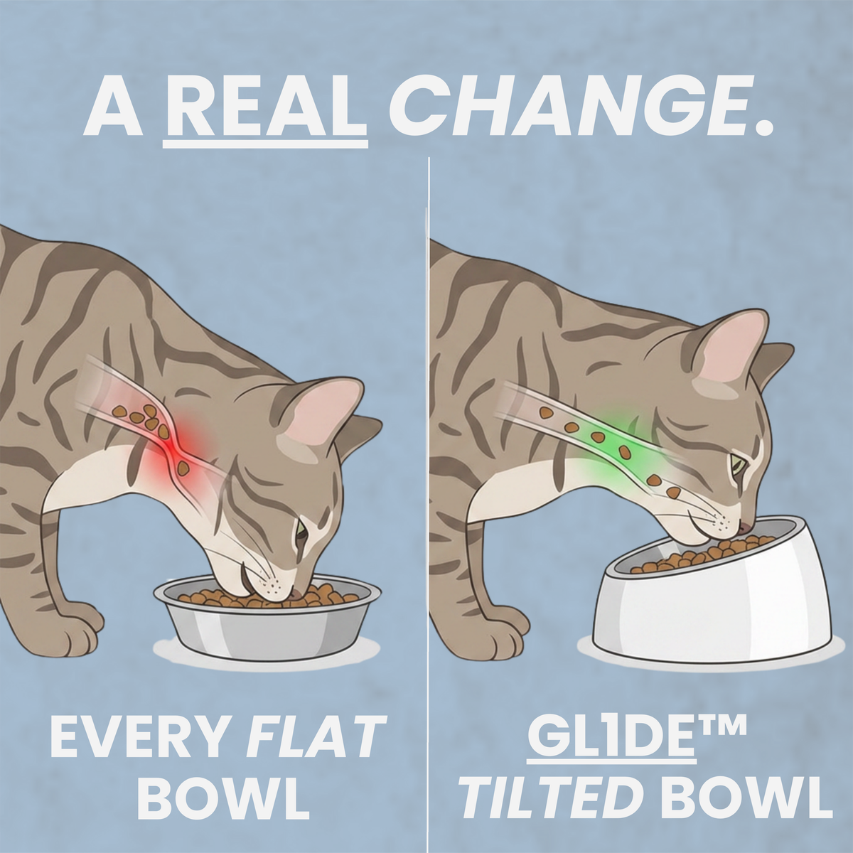 Glide™ Anti-Vomit Bowl