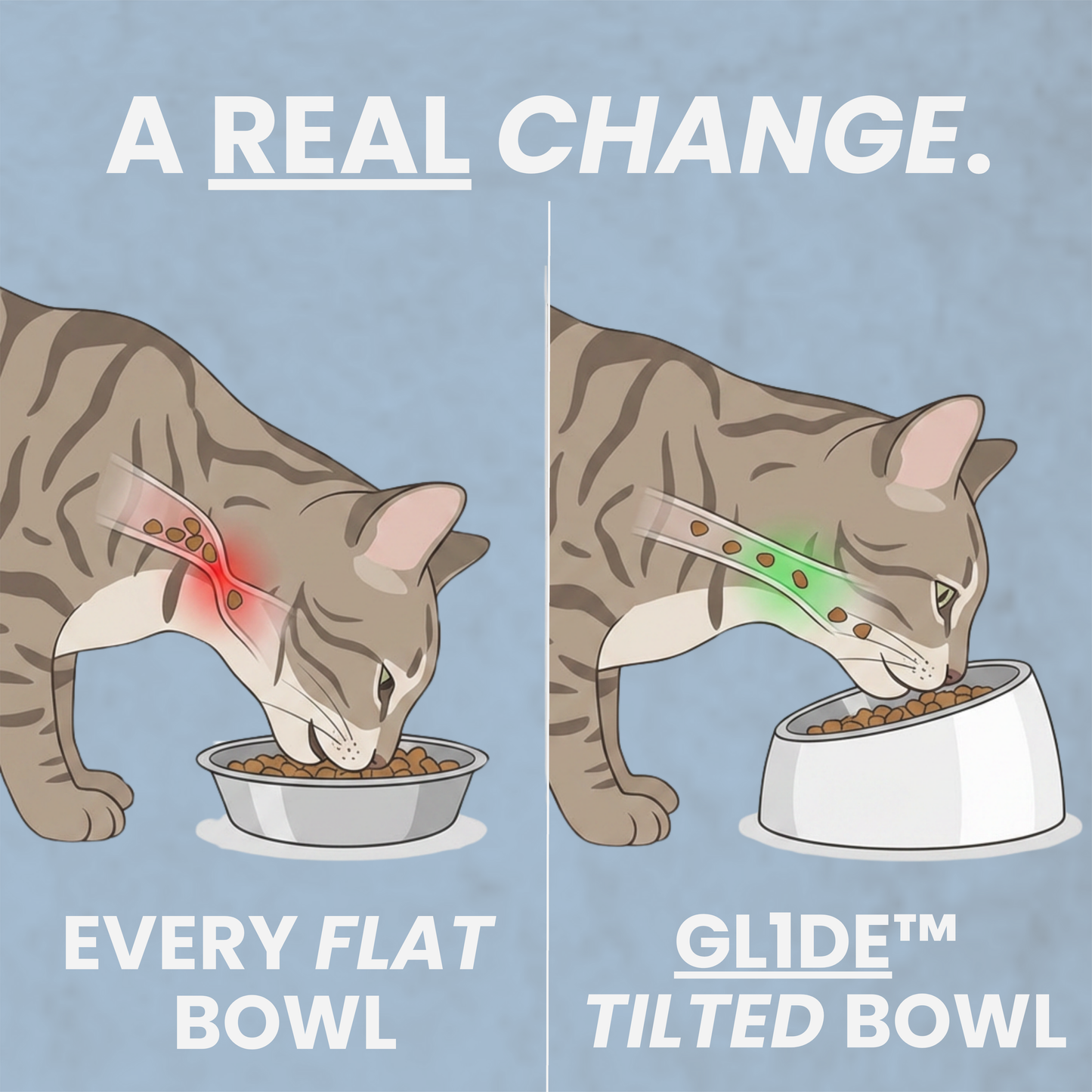 Glide™ Anti-Vomit Bowl