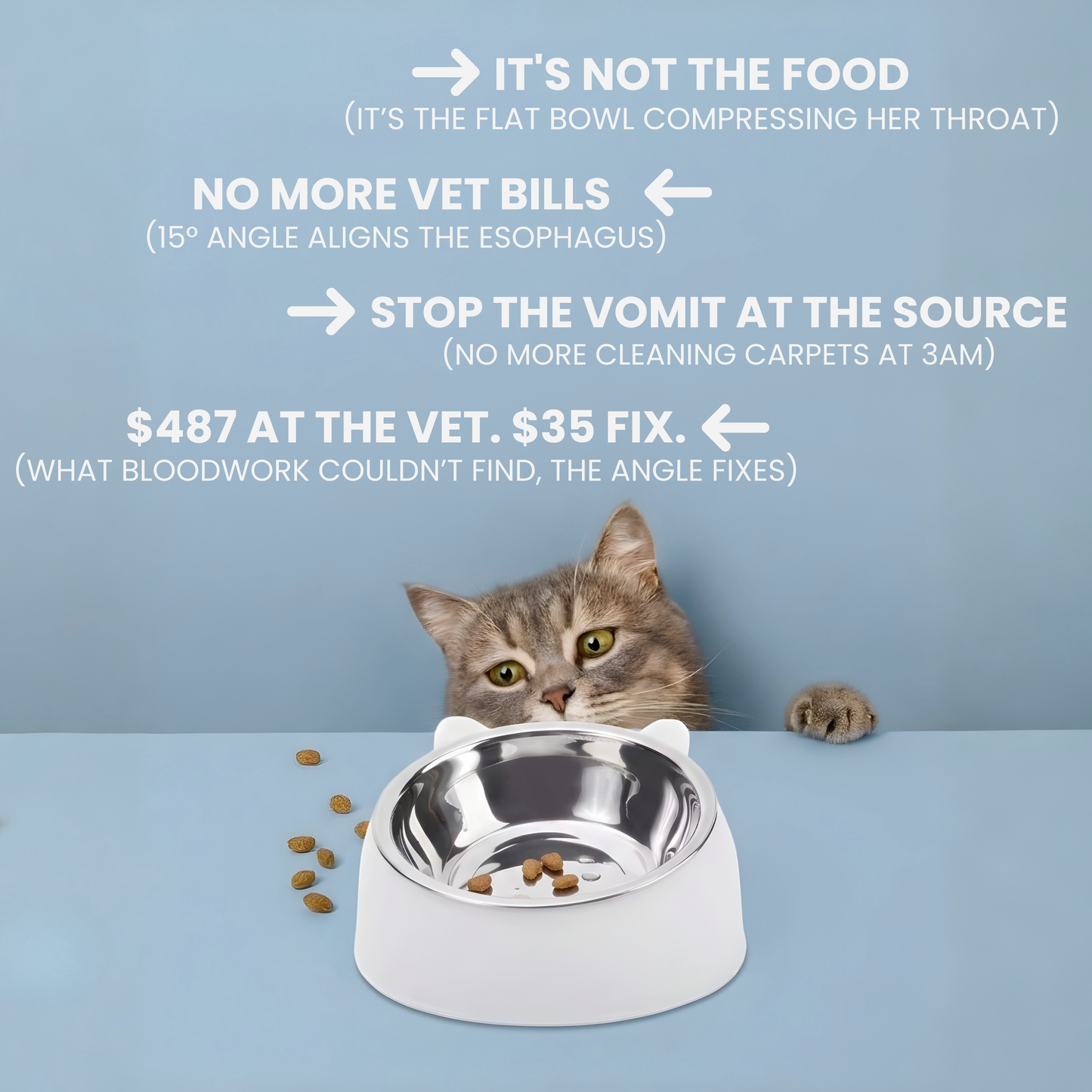 Glide™ Anti-Vomit Bowl