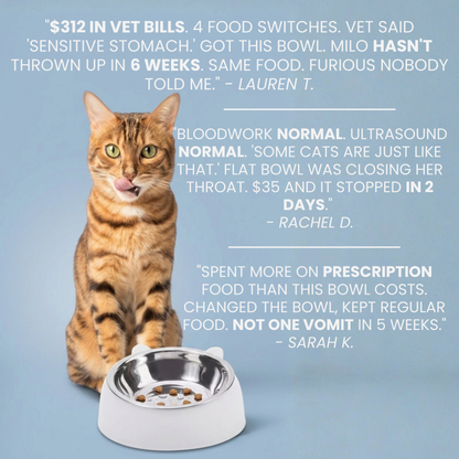 Glide™ Anti-Vomit Bowl