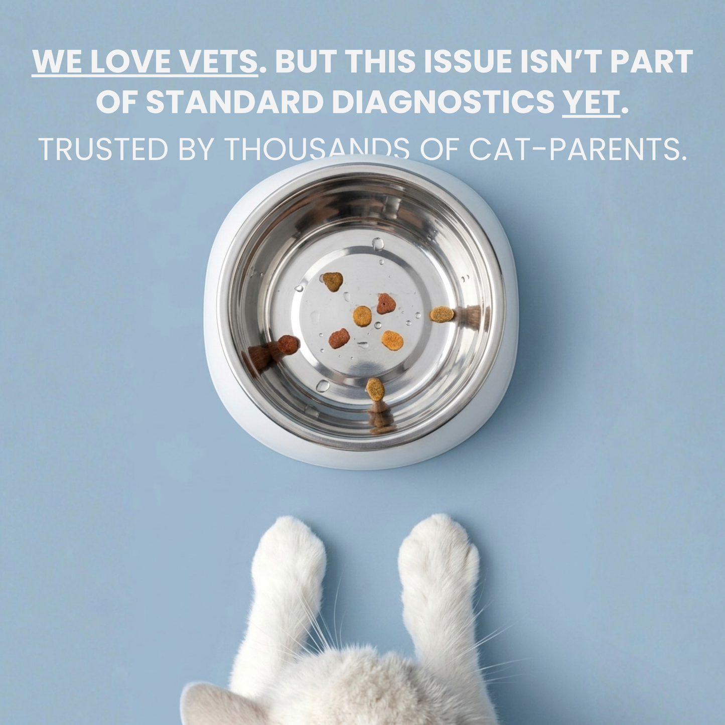 Glide™ Anti-Vomit Bowl
